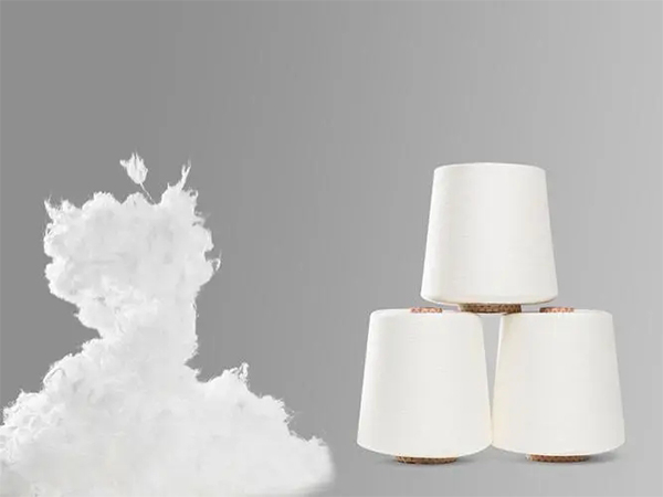 雅賽爾纖維你了解嗎?