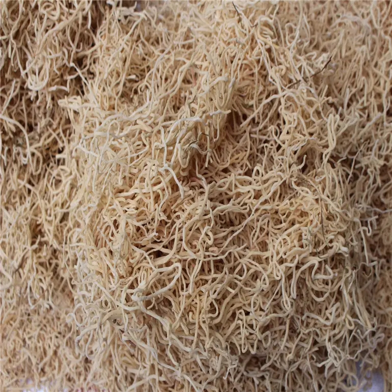 src=http___cbu01.alicdn.com_img_ibank_2016_381_123_3184321183_1384522991.jpg&refer=http___cbu01.alicdn.webp src=http___cbu01.alicdn.com_img_ibank_2016_381_123_3184321183_1384522991.jpg&refer=http___cbu01.alicdn.webp