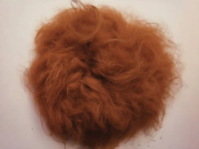 新型纖維之駝毛纖維